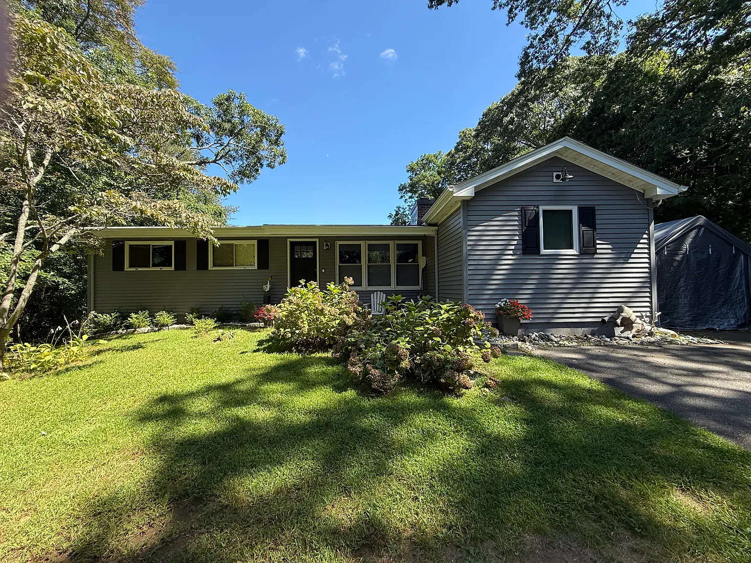 4 bed, 1600 sqft, $4,000 — Photo 4