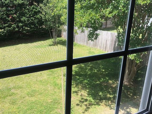 Back yard seen from loft