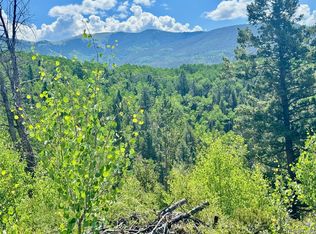 LOT 5850 Richardson Rd, Fort Garland, CO 81133