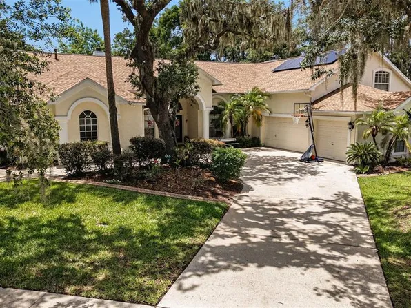 2528 Centennial Falcon Dr, Valrico, FL 33596