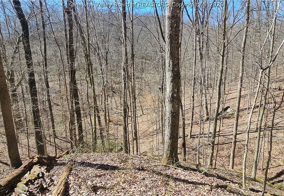 1st image of X Bufflick Rd