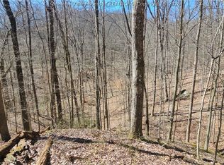 X Bufflick Rd, Clendenin, WV 25045