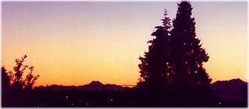 Great view of the Olympics!