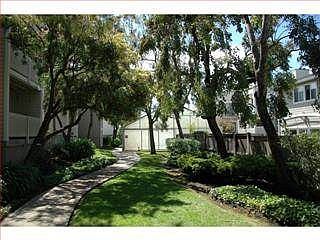 5th image of 463 Pine Ave #36