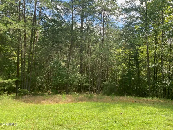 Black Fox Harber Lots 16 &17 Rd, Washburn, TN 37888
