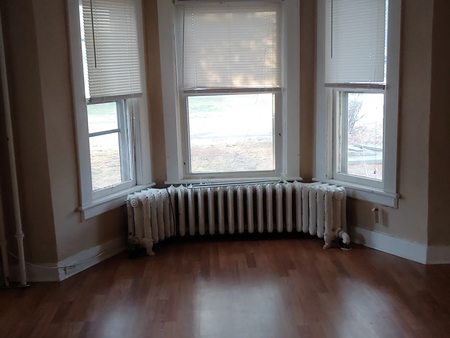 1 bed, $900 — Photo 1