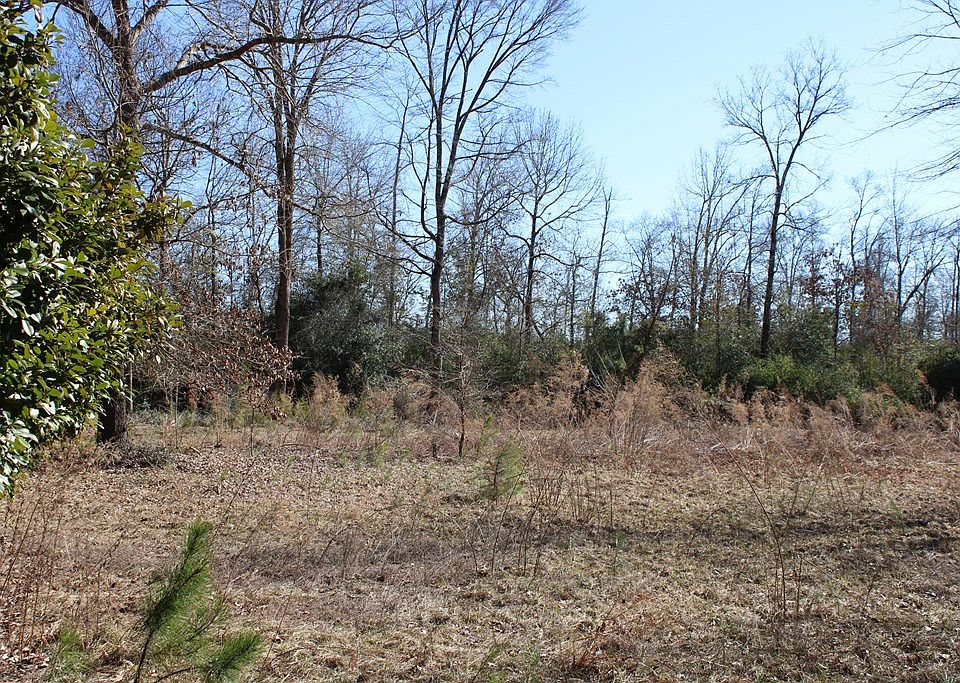 2nd image of 497 County Road 790