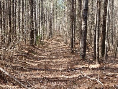 16717 Graham Rd, Berry, AL, 35546