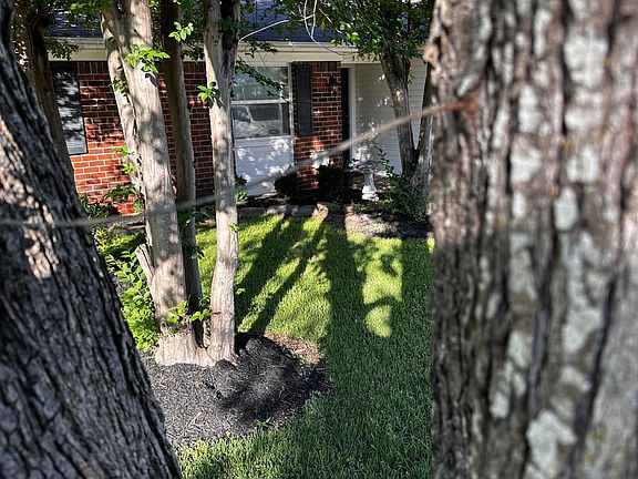3rd image of 3104 Lodgepole Dr