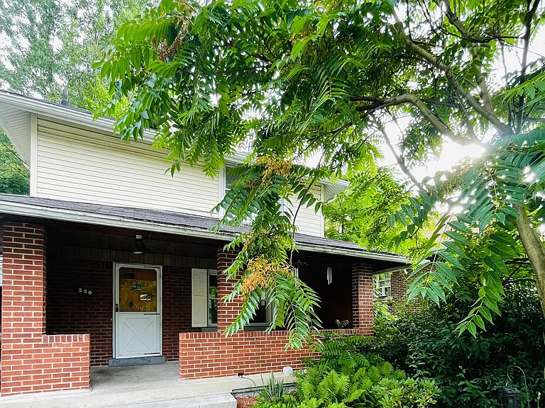 250 Elwyn Ave — Photo 9