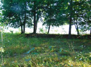 990 Rose Ln, Pellston, MI 49769