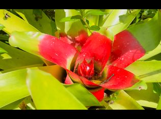 Road 3 Hopue LOT 3162, Kurtistown, HI 96760