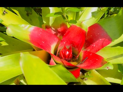 Road 3, Kurtistown, HI, 96760