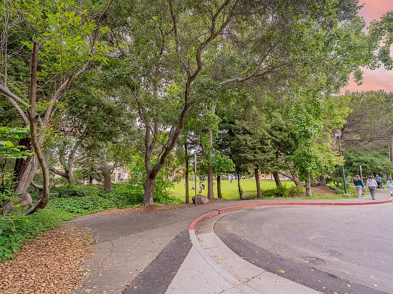 Live Where Berkeley Comes Alive - Steps from Park, Cafe, and BART — Photo 21