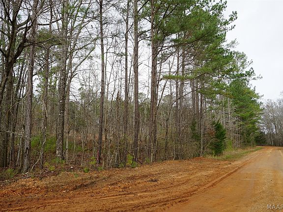 2nd image of 1303 County Road 176