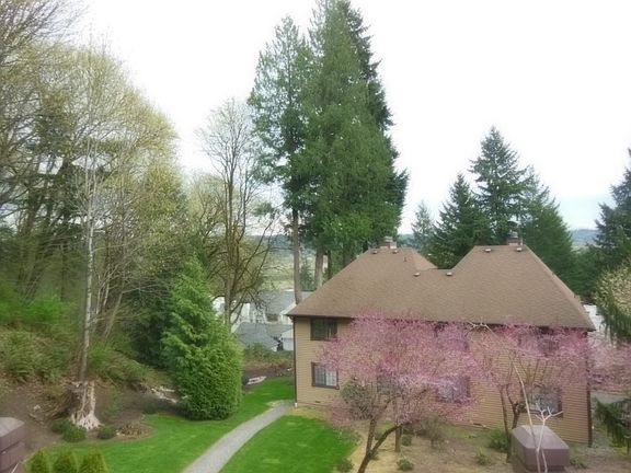3rd image of 17415 NE 88th Pl