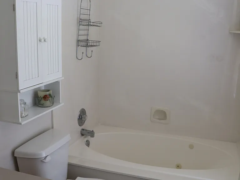 Master bathroom with jetted tub