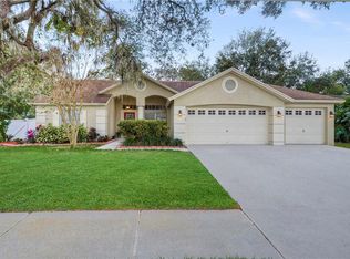 3029 Starmount Dr, Valrico, FL 33596