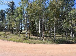 188 Club Dr, Woodland Park, CO 80863