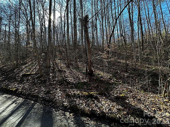 3rd image of 11 Blue Mist Mountain Rd