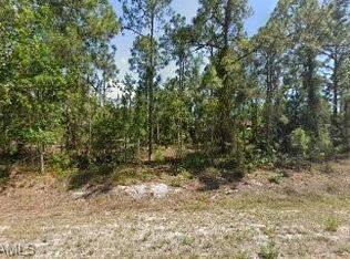 456 Boleyn Cir, Lehigh Acres, FL 33974