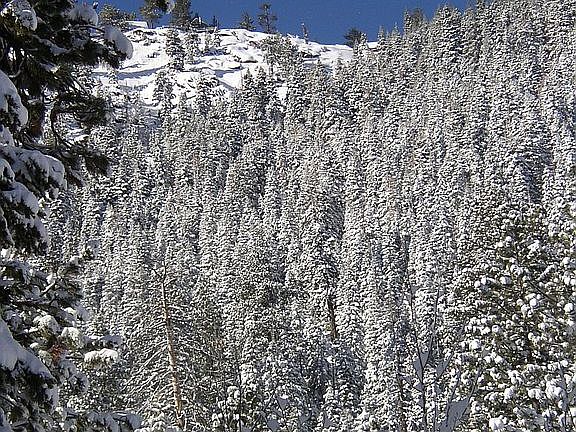Mountain View Winter