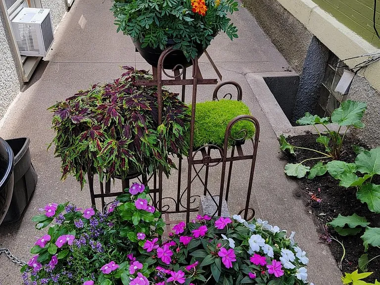 Common area patio