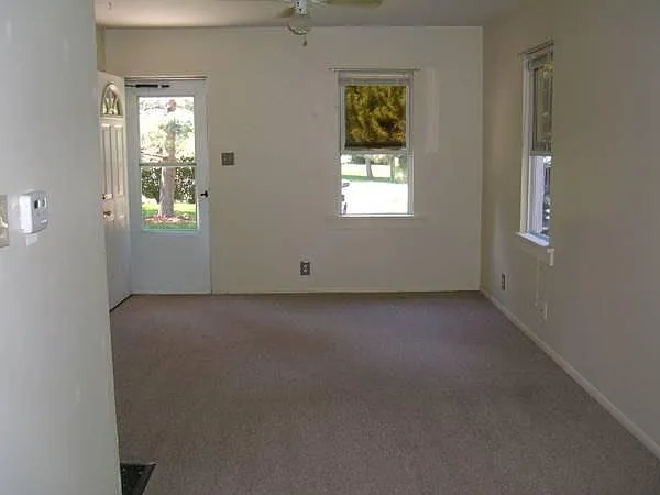 850 Vivian St — Photo 5