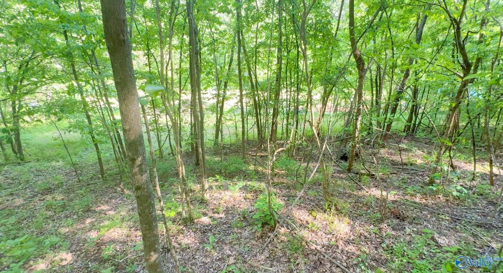 140 Ben Johnson Rd, Pulaski, TN - View 5