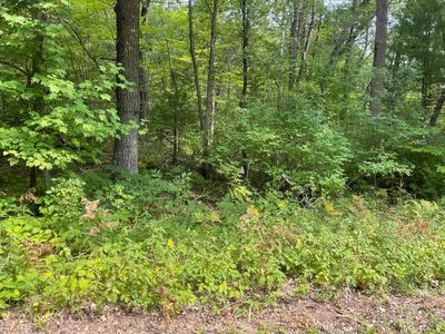 Lt0 LAKE DRIVE, Shawano, WI, 54166