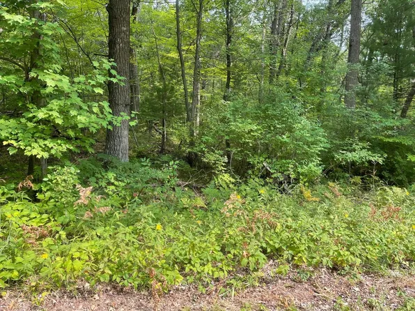 Lt0 LAKE DRIVE, Shawano, WI 54166