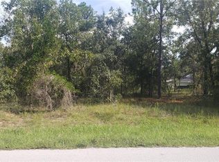 3029 E Anderson St, Inverness, FL 34453