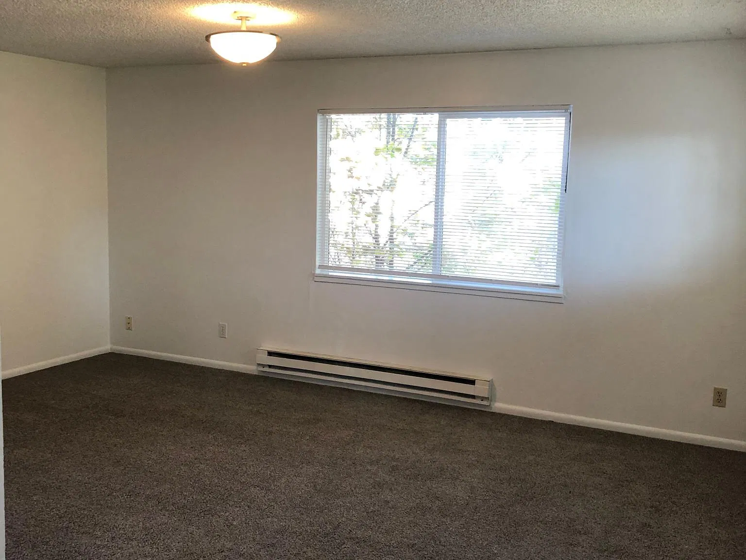 2 bed, 800 sqft, $1,250 — Photo 3