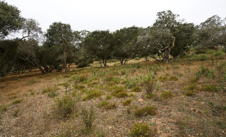 1st image of 0 Valle Pacifico Rd