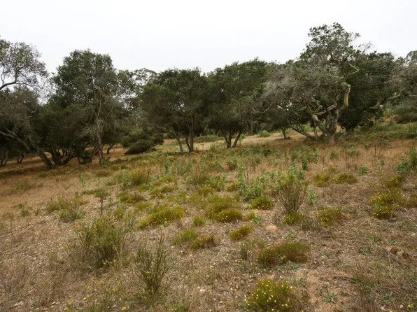 0 Valle Pacifico Rd, Salinas, CA 93907