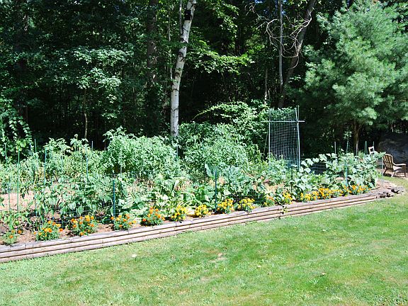 Garden area