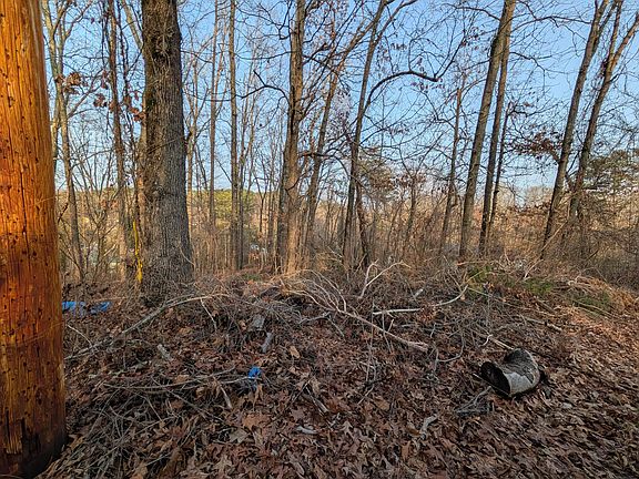 5th image of 0 Pine Breeze Cir Lot 2