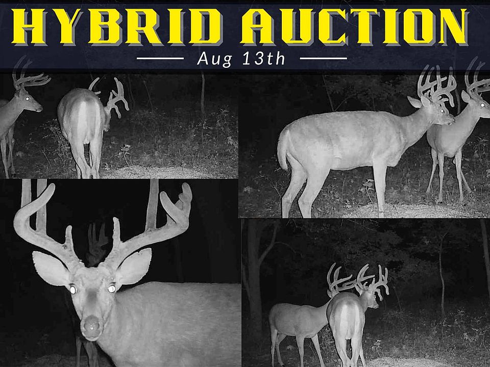 1st image of 5370 County Road 6400