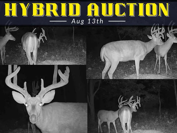 5370 County Road 6400, Cherryvale, KS 67335