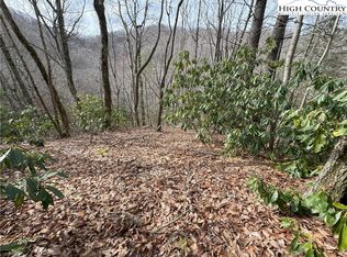 Big Ridge Rd, Bakersville, NC 28705