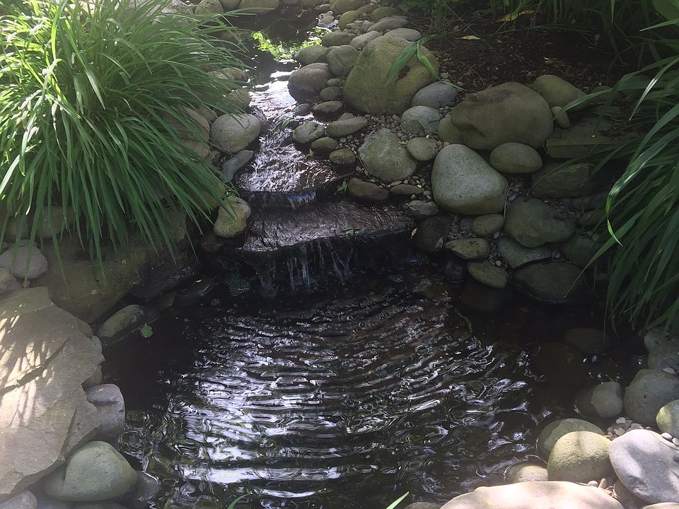 Backyard water feature 