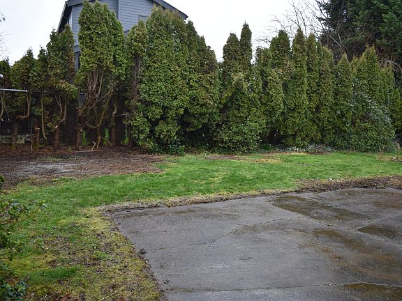 Open backyard