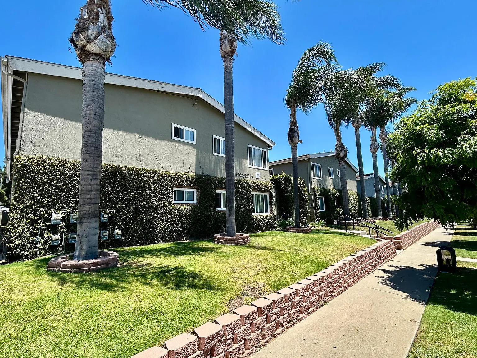 Bright 2 bed 1 bath in Pacific Beach — Photo 3
