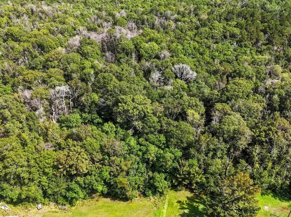 13A Carmen Dr, Denham Springs, LA 70706