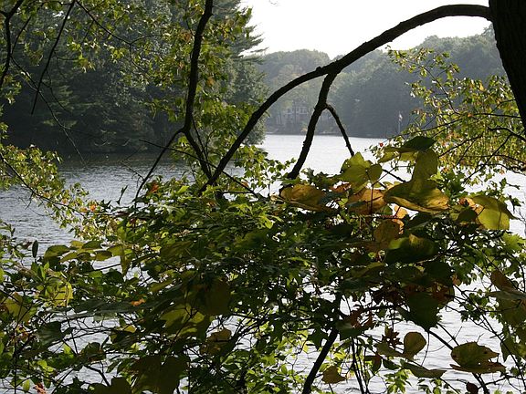 Lake Hills Assocation