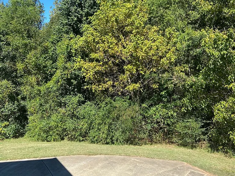 1594 Wilderness Ln — Photo 12