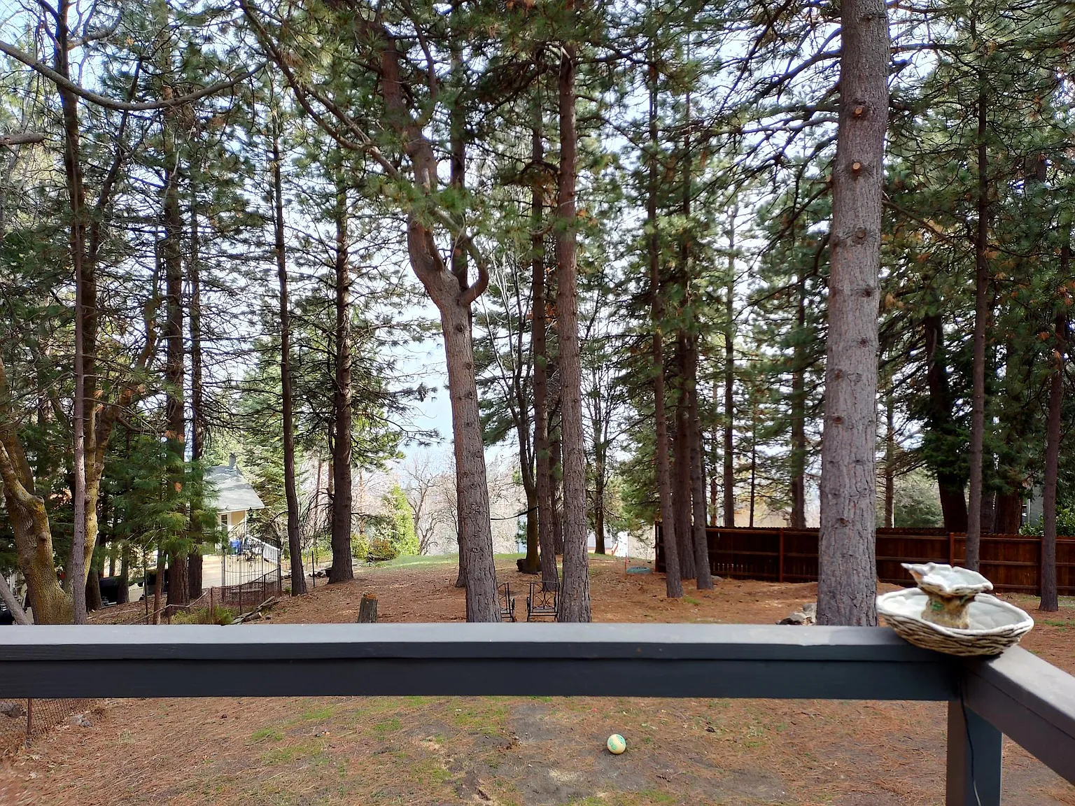 31083 All View Dr — Photo 4