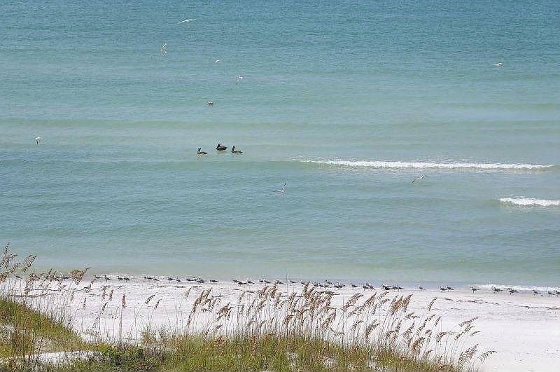 For Sale: 415 L'Ambiance Dr. #402, Longboat Key, FL 34228