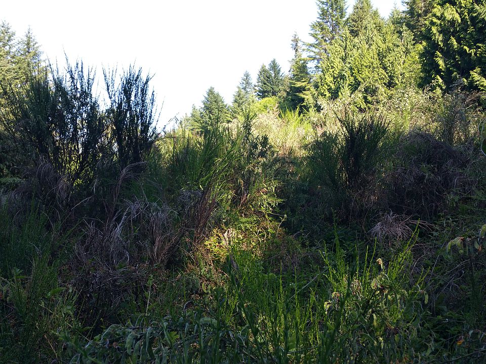 2nd image of 5817 Key Peninsula Hwy NW