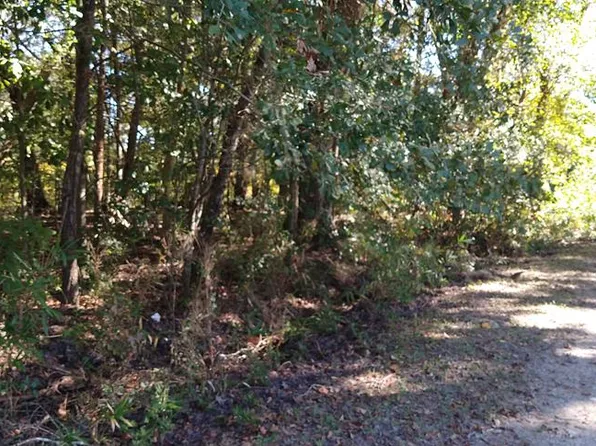 0 Big Oak Rd, Riceboro, GA 31323